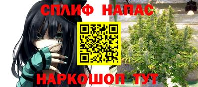 наркотики Будённовск